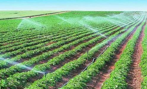 美女被插穴软件农田高 效节水灌溉